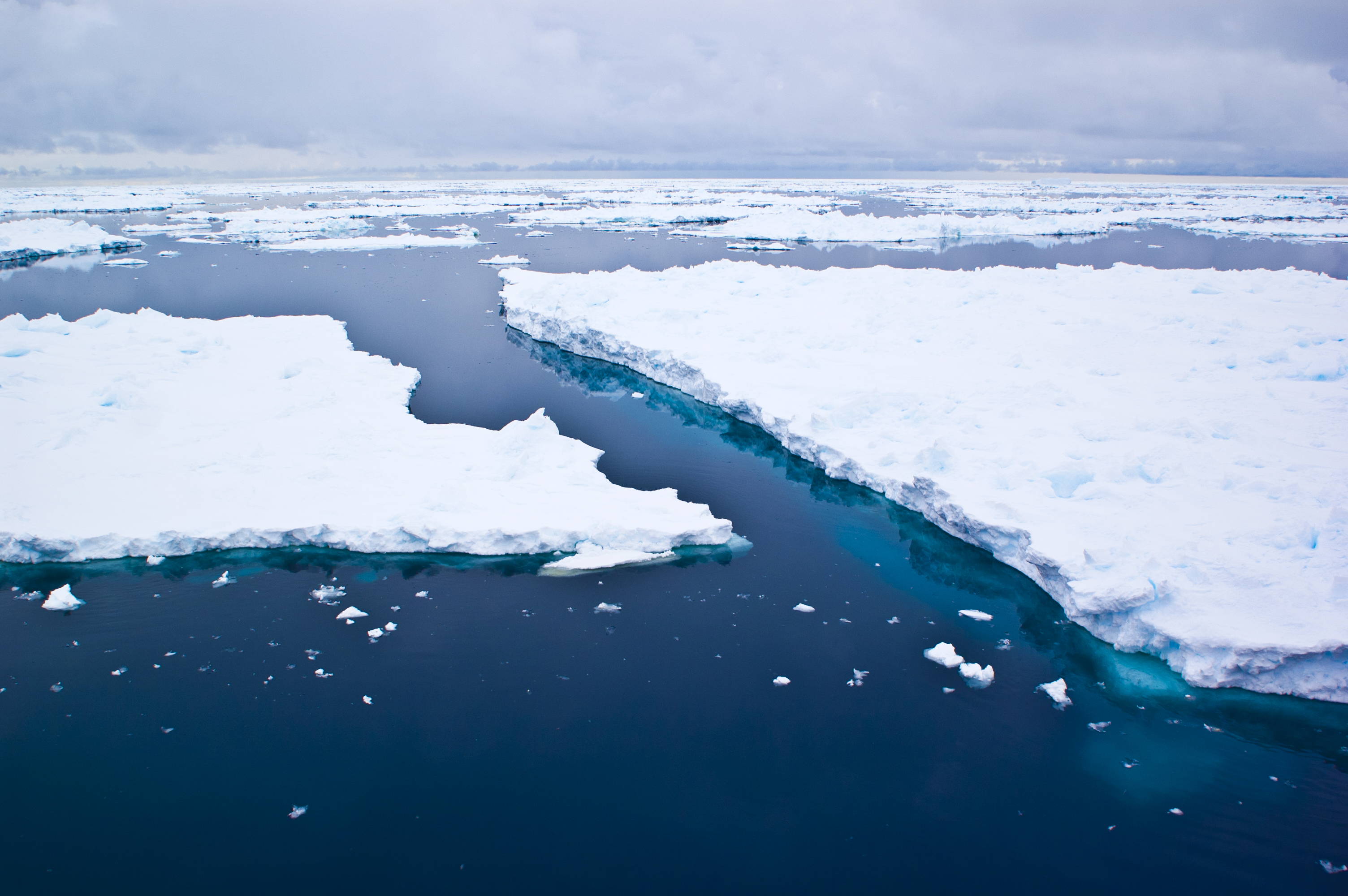 Pack ice off the Antarctic shelf