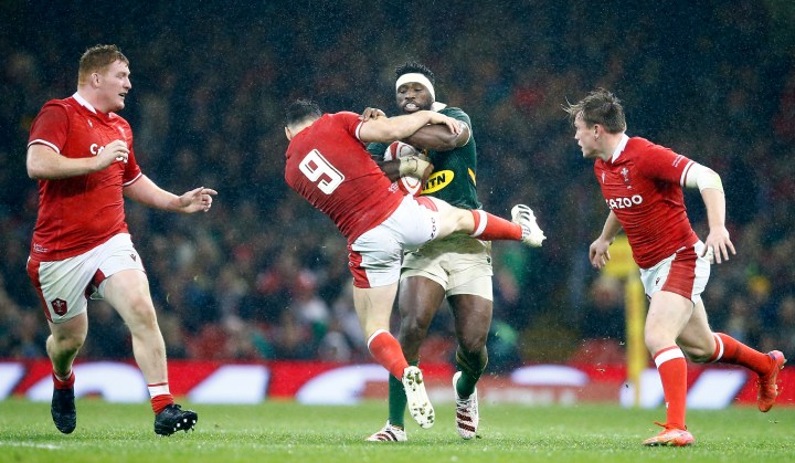 Boks under pressure to provide much-needed tonic for the nation through Wales Test at Loftus