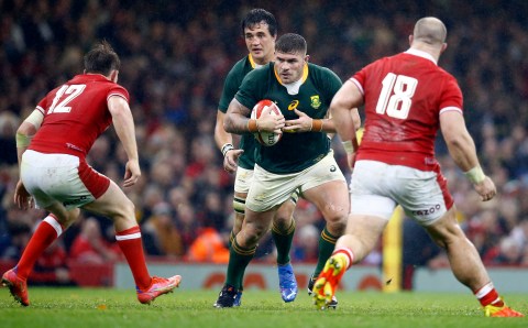 South Africa vs Wales: More than the scoreline in mind for Boks in series against the Dragons