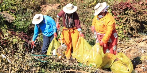 A Pretoria community finds a way to clean up the environment and feed people at the same time