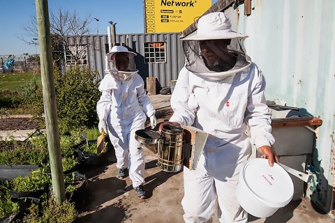 Gugulethu apiarist cultivating region’s sweetest business