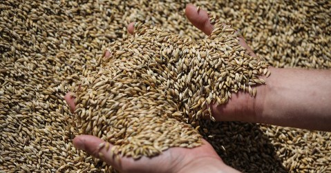 UN says details for safe Ukraine grain shipments still being worked out
