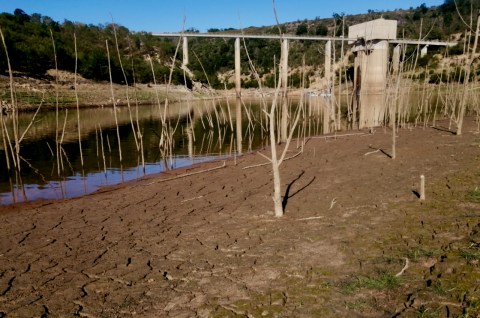 Usable water down to 2.3% of dam capacity in Nelson Mandela Bay