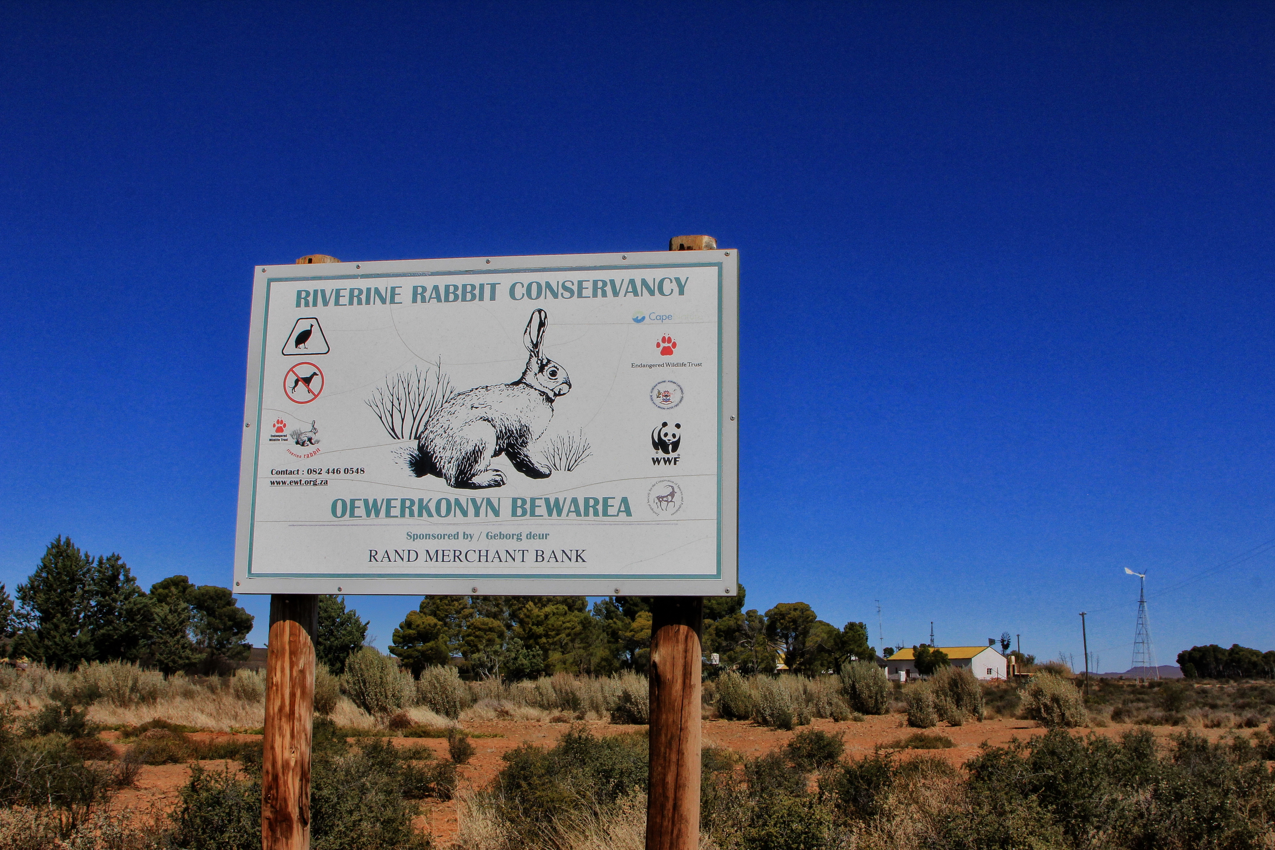 The Upper Karoo – home of the critically endangered riverine rabbit.