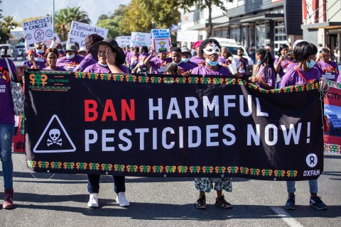 South Africa’s pesticides in spotlight over human and environmental safety concerns