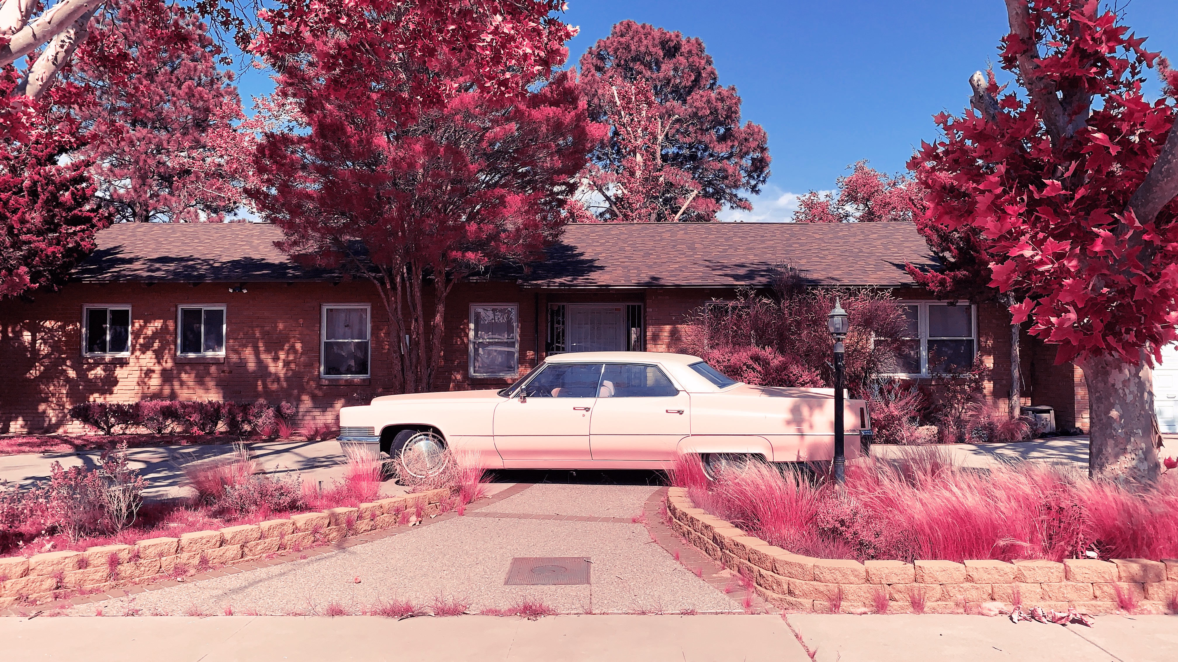 "Pink Cadillac". © Clay Peres - IPPAWARDS