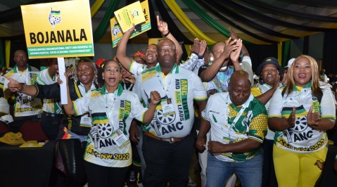 Membership audit snags stall rollout of nomination process for crunch ANC elections