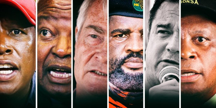 Stronger together: Opposition coalitions to unseat the ANC may mix surprising flavours