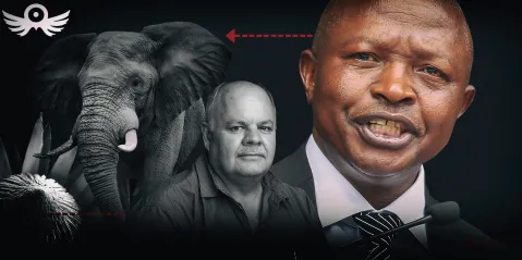 Revealed: David Mabuza, Fred Daniel and the missing crime dockets