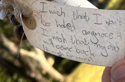 In the cradle of kinder humans — Johannesburg’s Wishing Tree