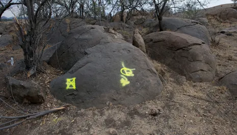 Small Koppie, Marikana, North West province, September 5, 2012. E and D altered. All but one letter at Small Koppie had been altered or defaced. A new marking was added further to the west, marked with the letter X. This had not been at the scene at any previous time. Photo Greg Marinovich