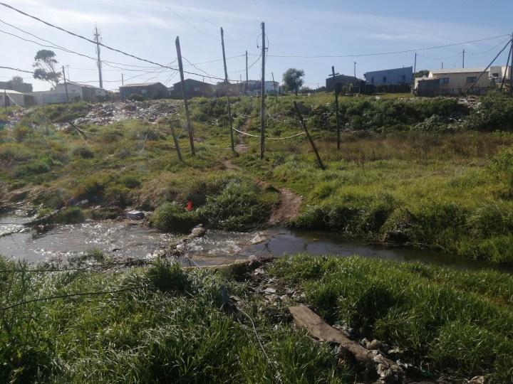 Teenager becomes latest electrocution victim of Gqeberha river 