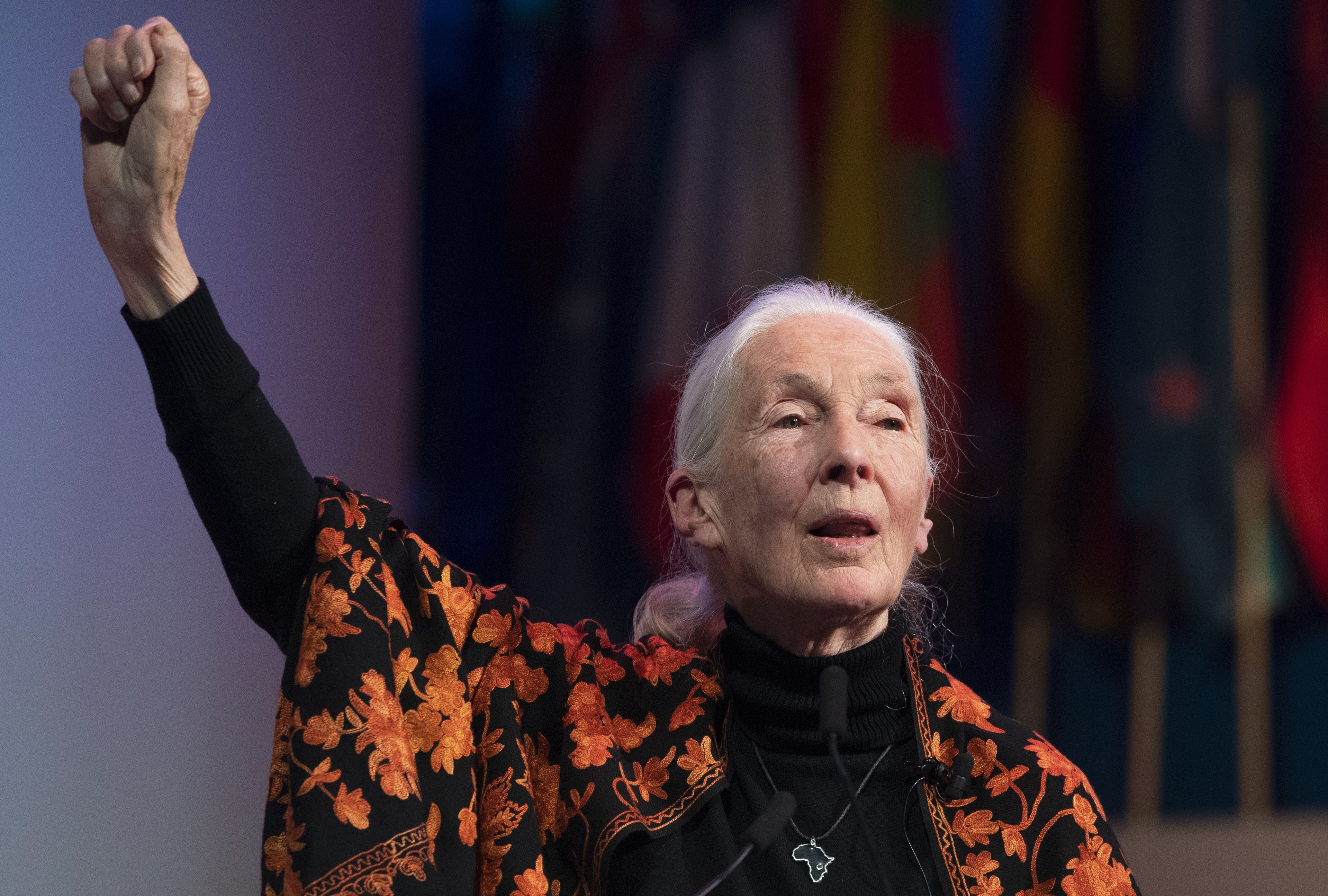 Anthropologist and UN messenger of Peace, Dr. Jane Goodall speaks during a session at the One Young World Summit in the Methodist Hall in London, Britain, 23 October 2019. 