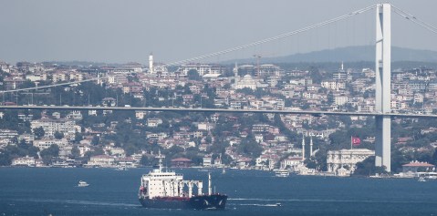 Three grain ships plan to sail from Ukrainian ports on Friday  — Turkish minister