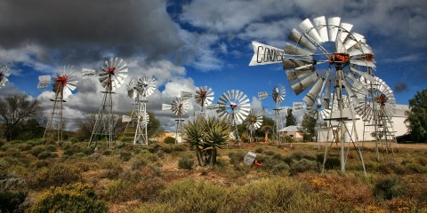 Loeriesfontein — home of the giant steel flowers