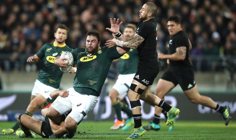 Nienaber continues to show single-minded clarity with five changes for All Blacks backlash