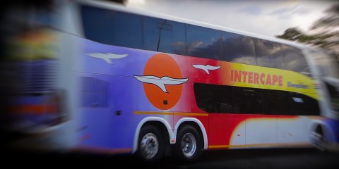 Mbalula and axed EC transport MEC ‘played dead’ and ‘failed grossly’ in protecting Intercape buses – CEO