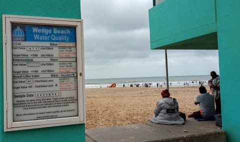 Big stink as eThekwini hides its Durban beach water lab results