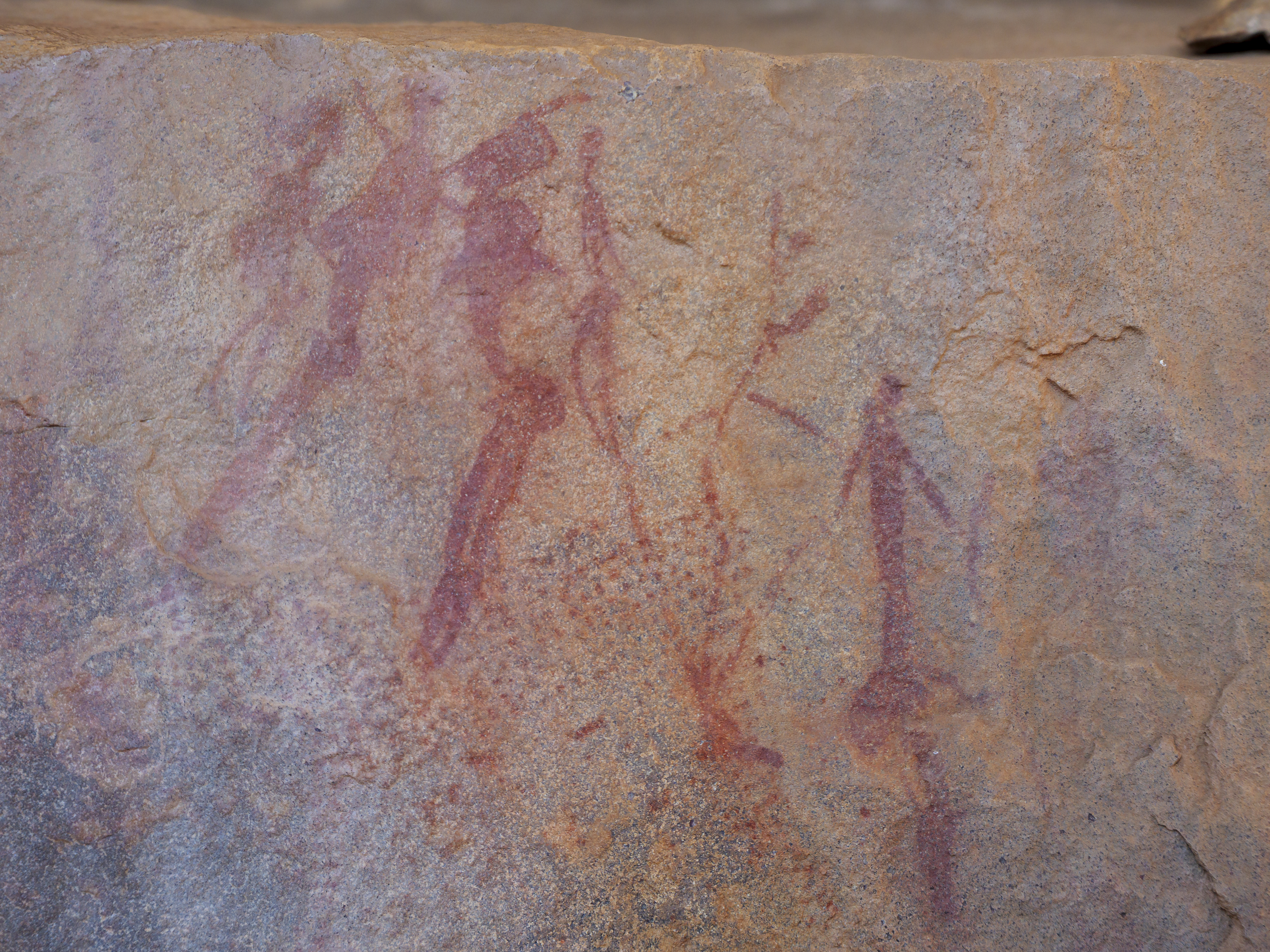 Rock paintings in the Sanbona Wildlife Reserve.  Barrydale.  western cape  South Africa