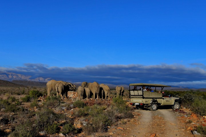 Wonders of the Little Karoo — the Sanbona Wildlife Reserve