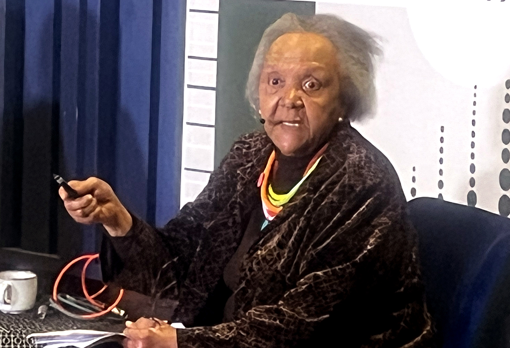 Freedom Writer: 81 year old Barbara Masekela in energetic conversation about beauty and the Constitution. Image: Mark Heywood