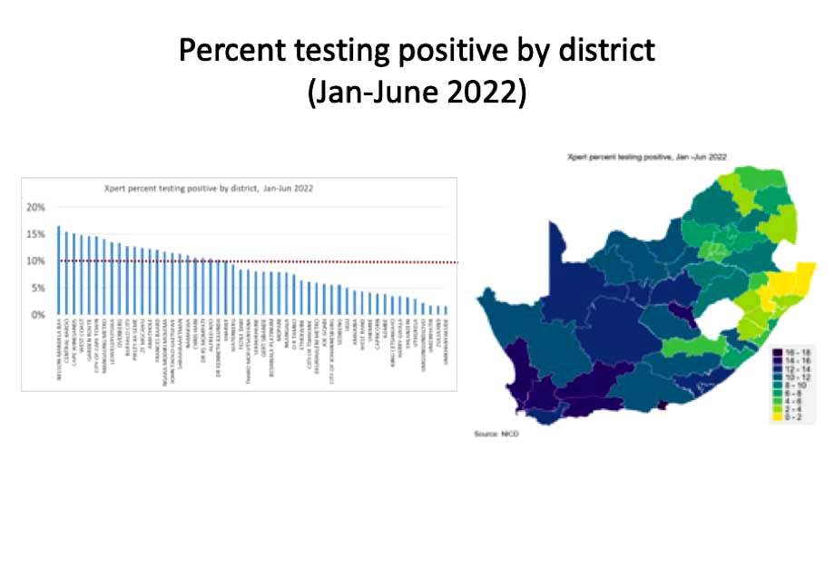 A graphic showing percentage testing positive for TB by district