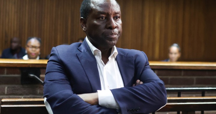 Mosebenzi Zwane and co-accused in Estina dairy corruption case set for trial in high court