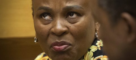 Fugitive lawyer scored R30,000 from Mkhwebane’s office to pen two articles critical of Cabinet ministers