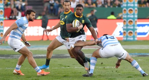 Boks have it all to play for against Pumas as Rugby Championship remains alive
