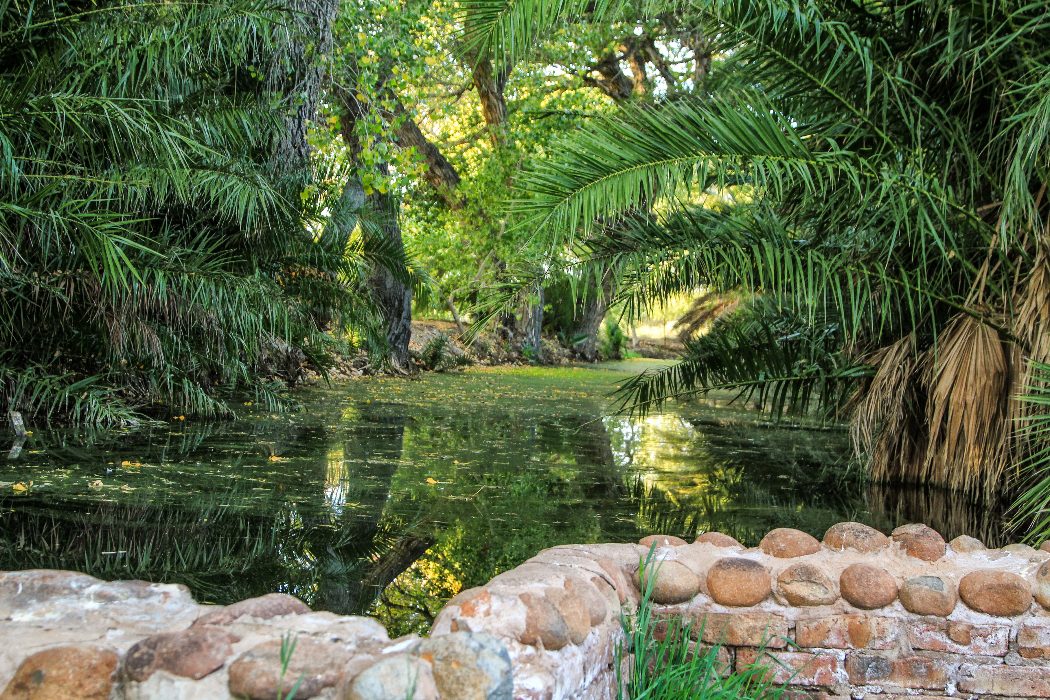 The natural spring that supplies Vosburg.