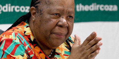Foreign Minister Pandor calls on Russian counterpart to negotiate end to Ukraine conflict