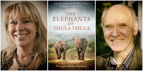 ‘The Elephants of Thula Thula’ — a jumbo-sized love story
