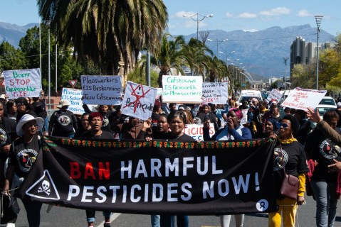 Agriculture department to ban certain hazardous pesticides by 2024