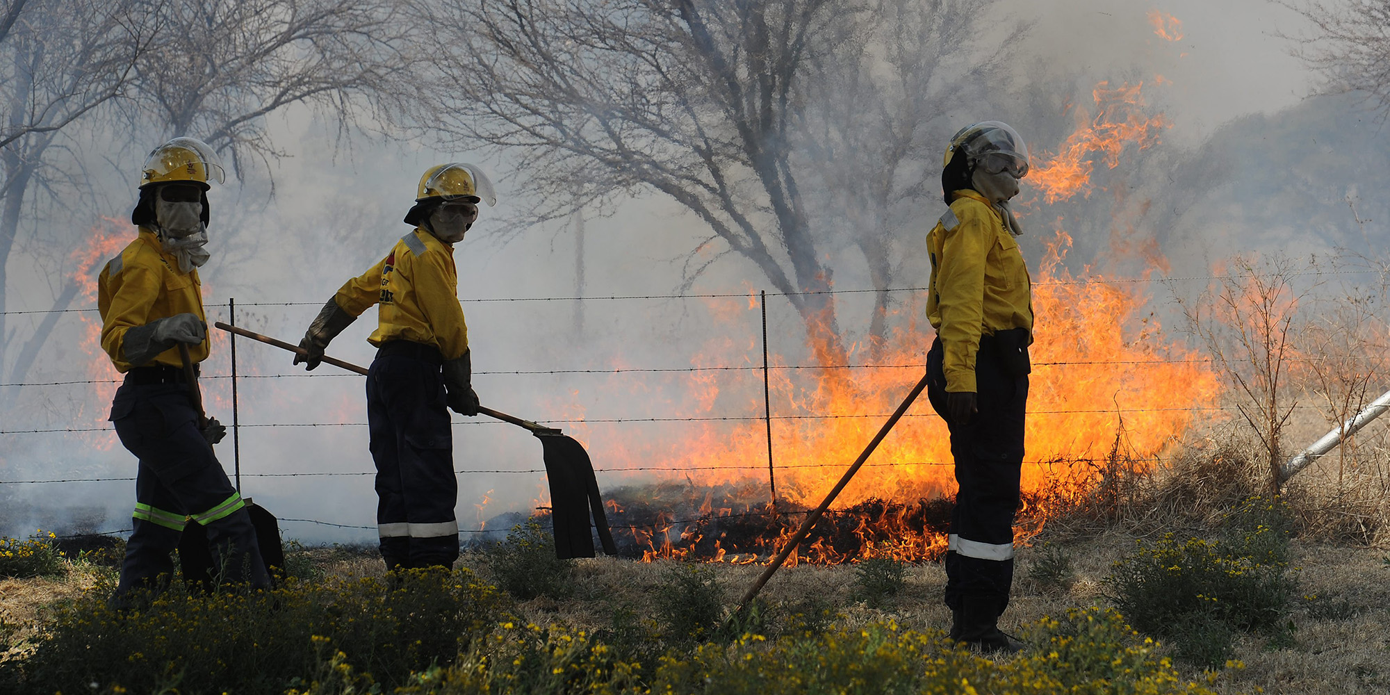 north west veld fires