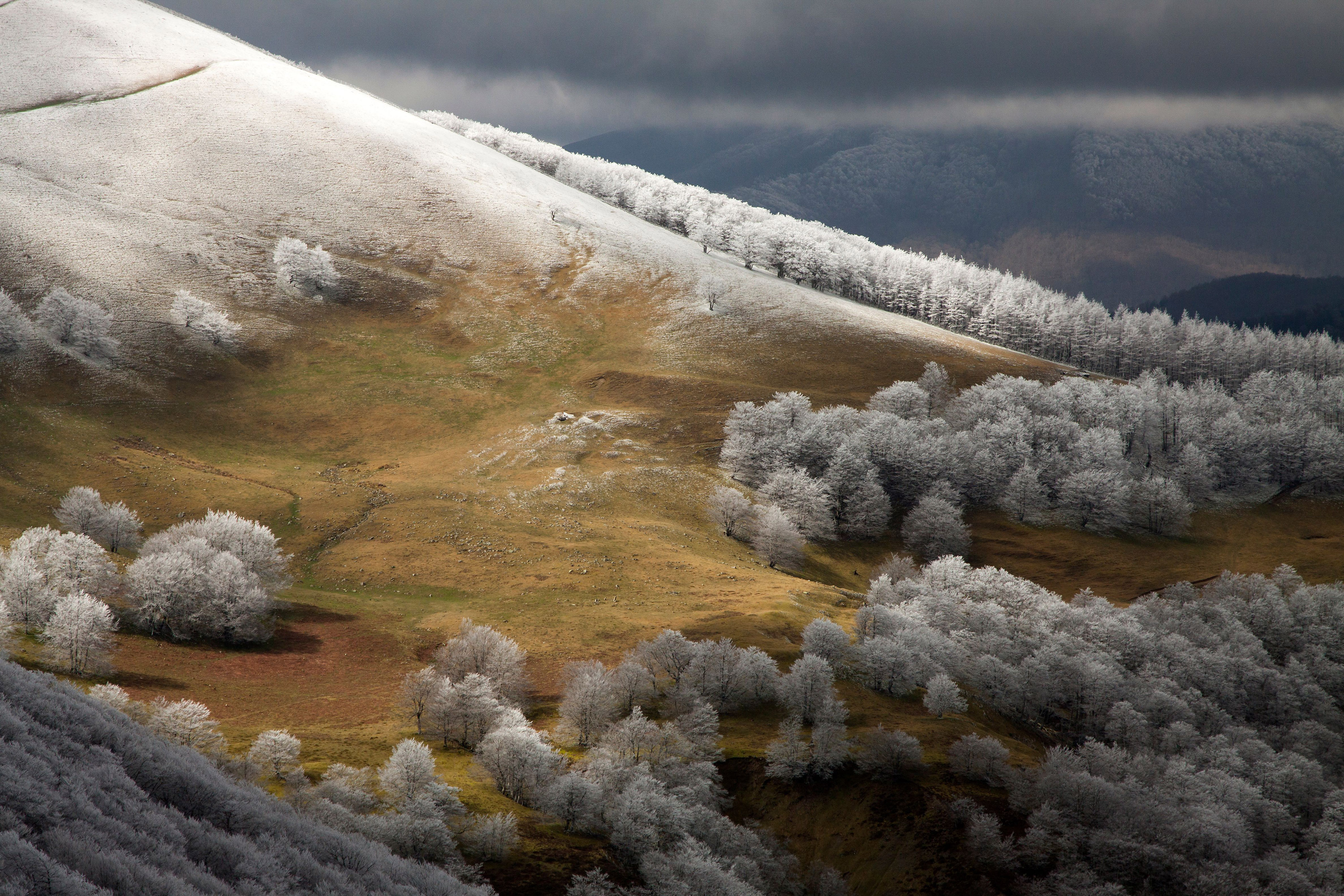 Slope of Mount Adi, in Navarra. © Francisco Javier Munuera González/TNC Photo Contest