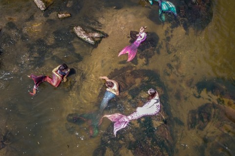 Urban tails — the day the mermaids came to clean up Gauteng’s Jukskei River