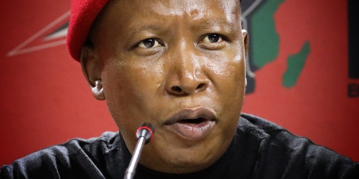 Julius Malema unveils EFF’s grandiose plan to take over DA-led Western Cape 