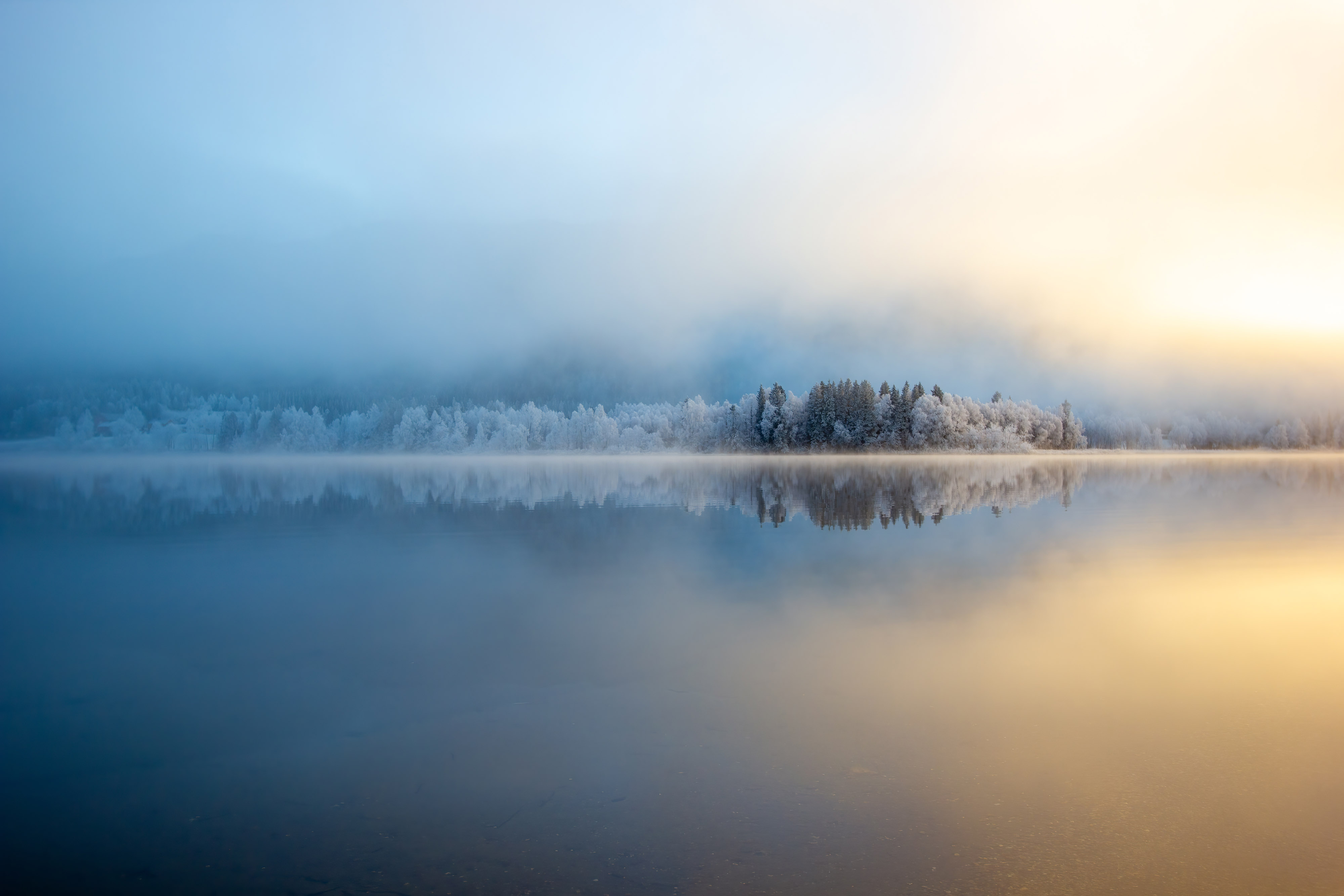 'Reflection'. The mist slowly thinned giving a glimpse of the trees on the other side, I grabbed my tripod to set up this shot. © Effy Varley/TNC Photo Contest