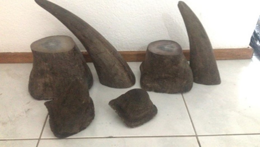 ching rhinoceros horns
