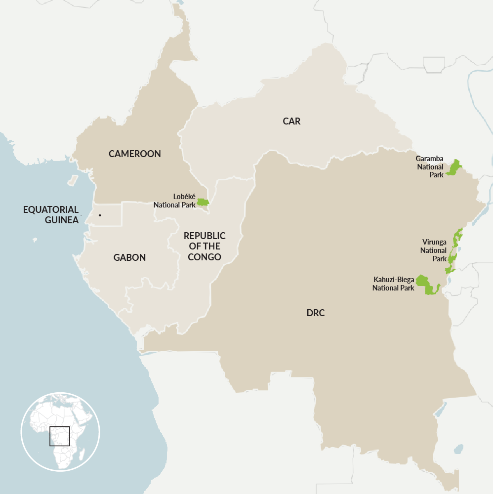 Countries in the Congo Basin