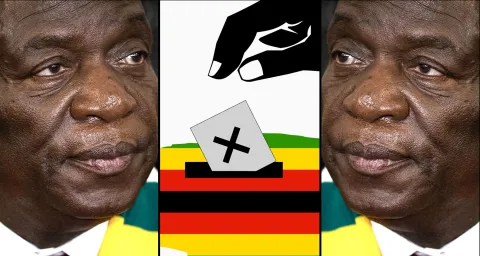 ‘Let us vote’ — Zimbabweans living outside country appeal for SADC intervention
