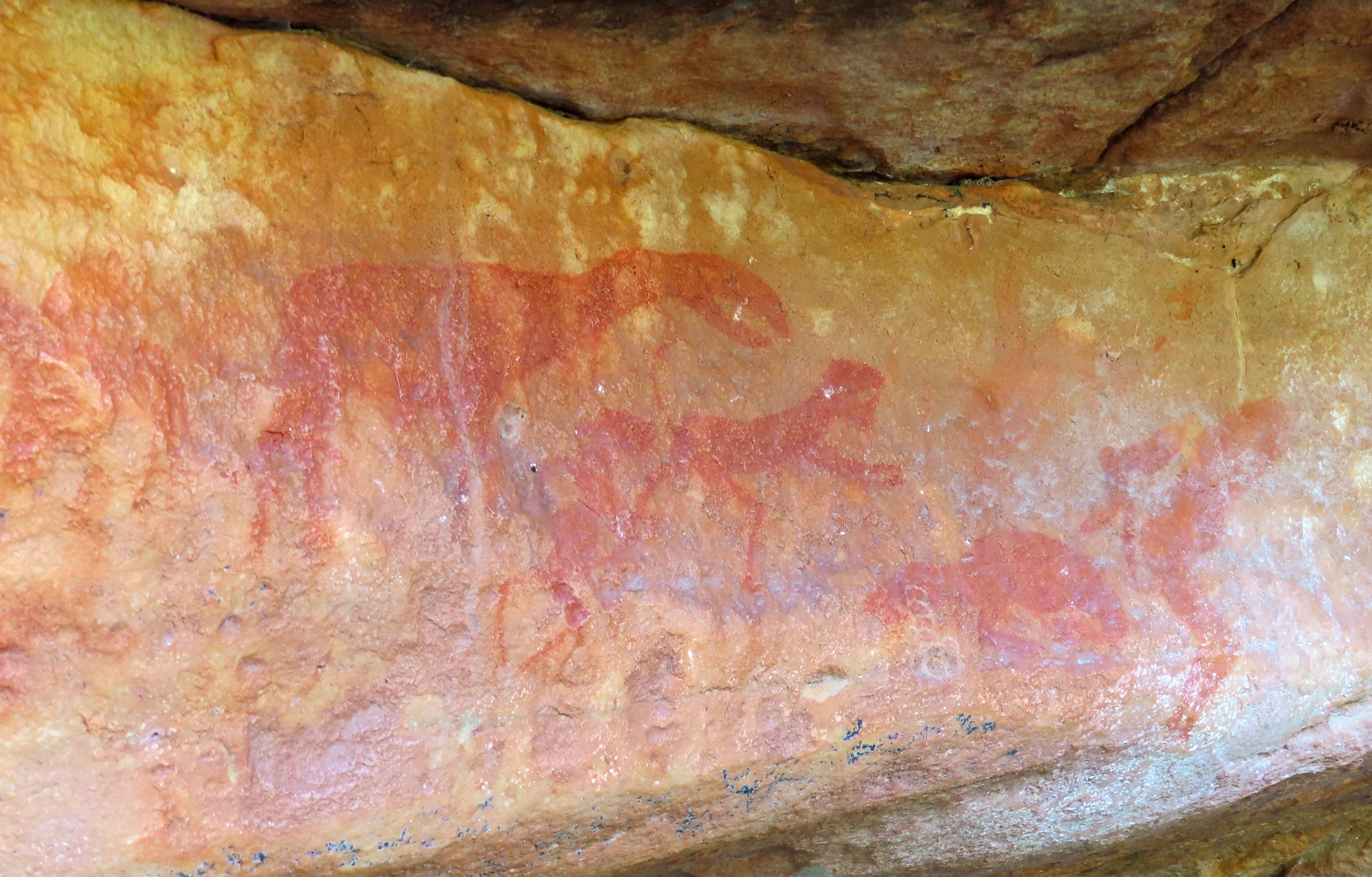 Bushman rock paintings by the Brandewyn River. Image: Ron Swilling