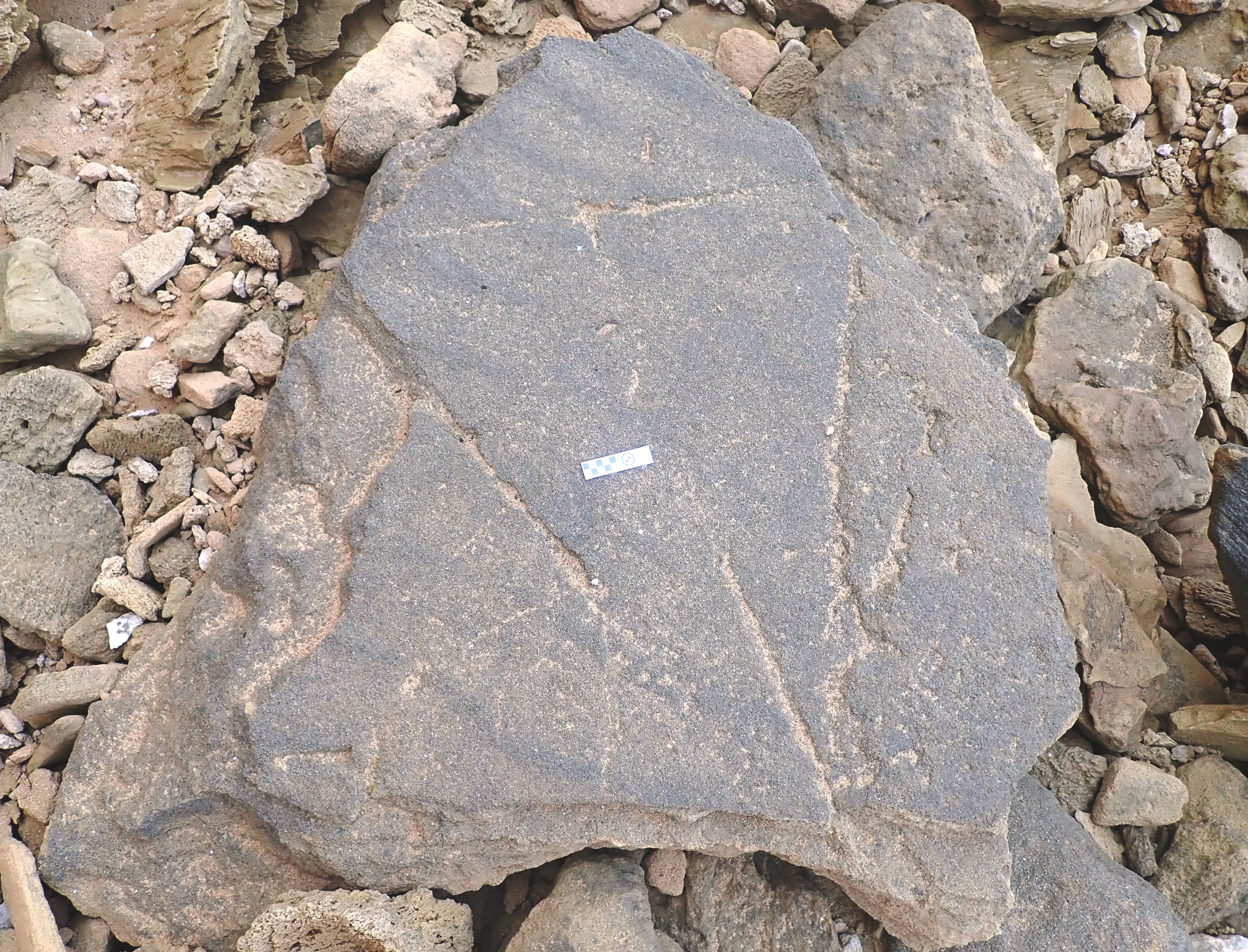 The larger of the two triangular geometric features (scale bar = 10 cm). Image: Charles Helm