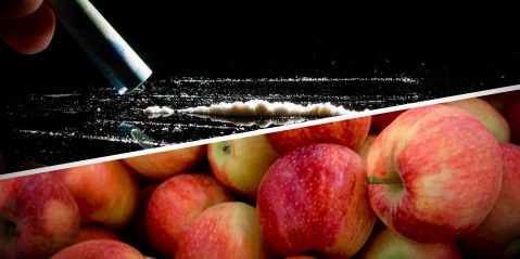 SA cops join forces with India to crack down on smugglers hiding cocaine and tik among apples and oranges