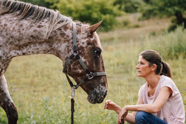 Beyond horse whispering: The journey to becoming an equine healer