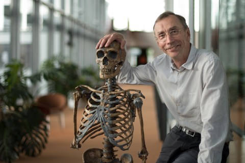 Nobel prize: Svante Pääbo’s ancient DNA discoveries offer clues as to what makes us human