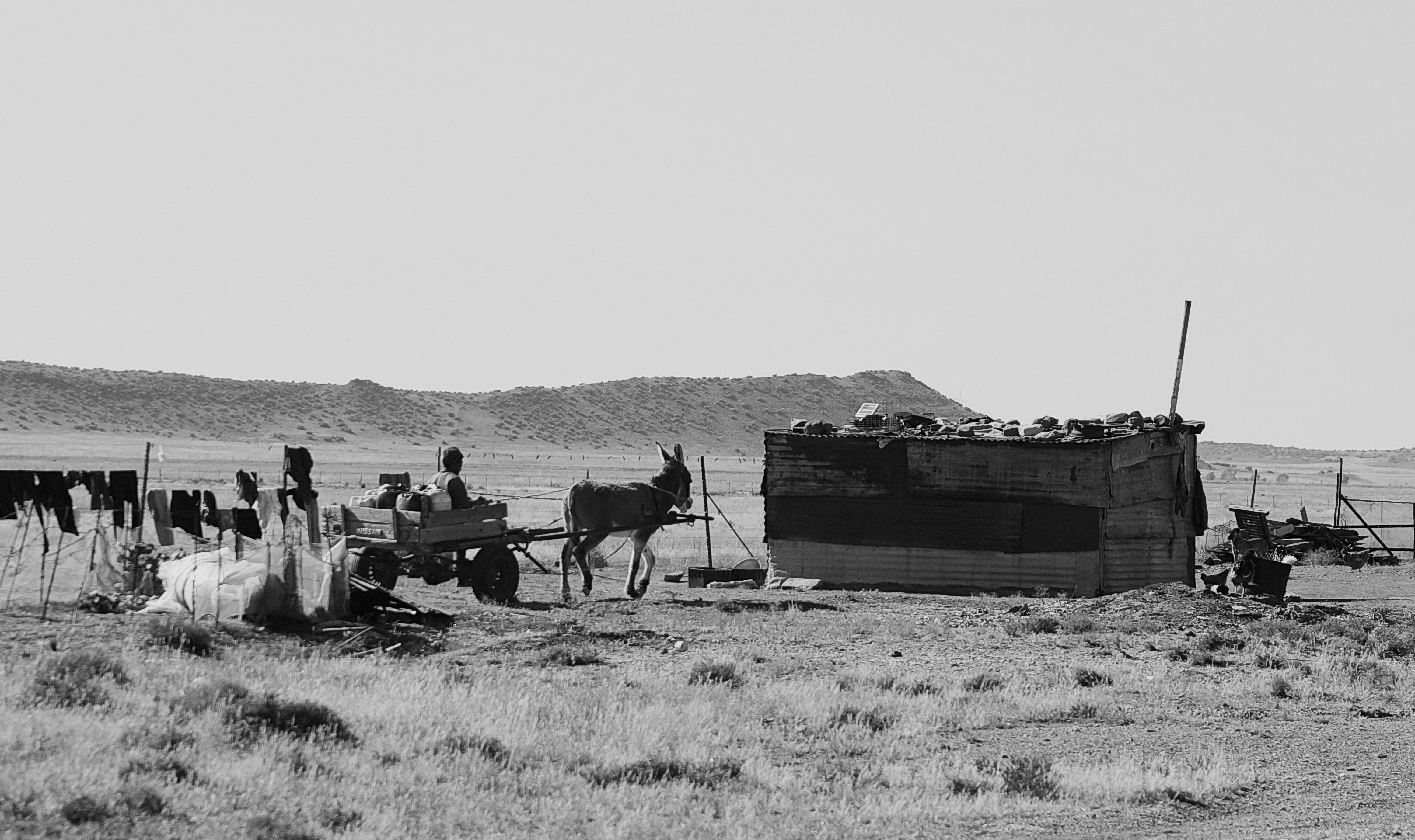 A donkey cart vignette at Die Nek settlement. 