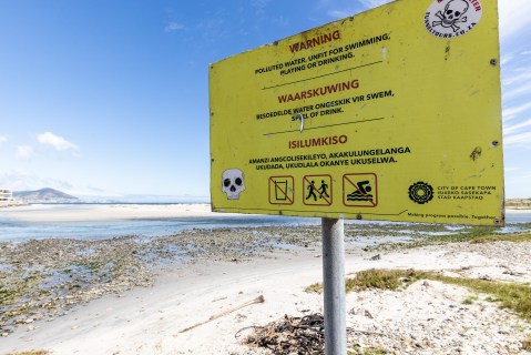 Fish die-off reported in sewage-polluted Milnerton lagoon