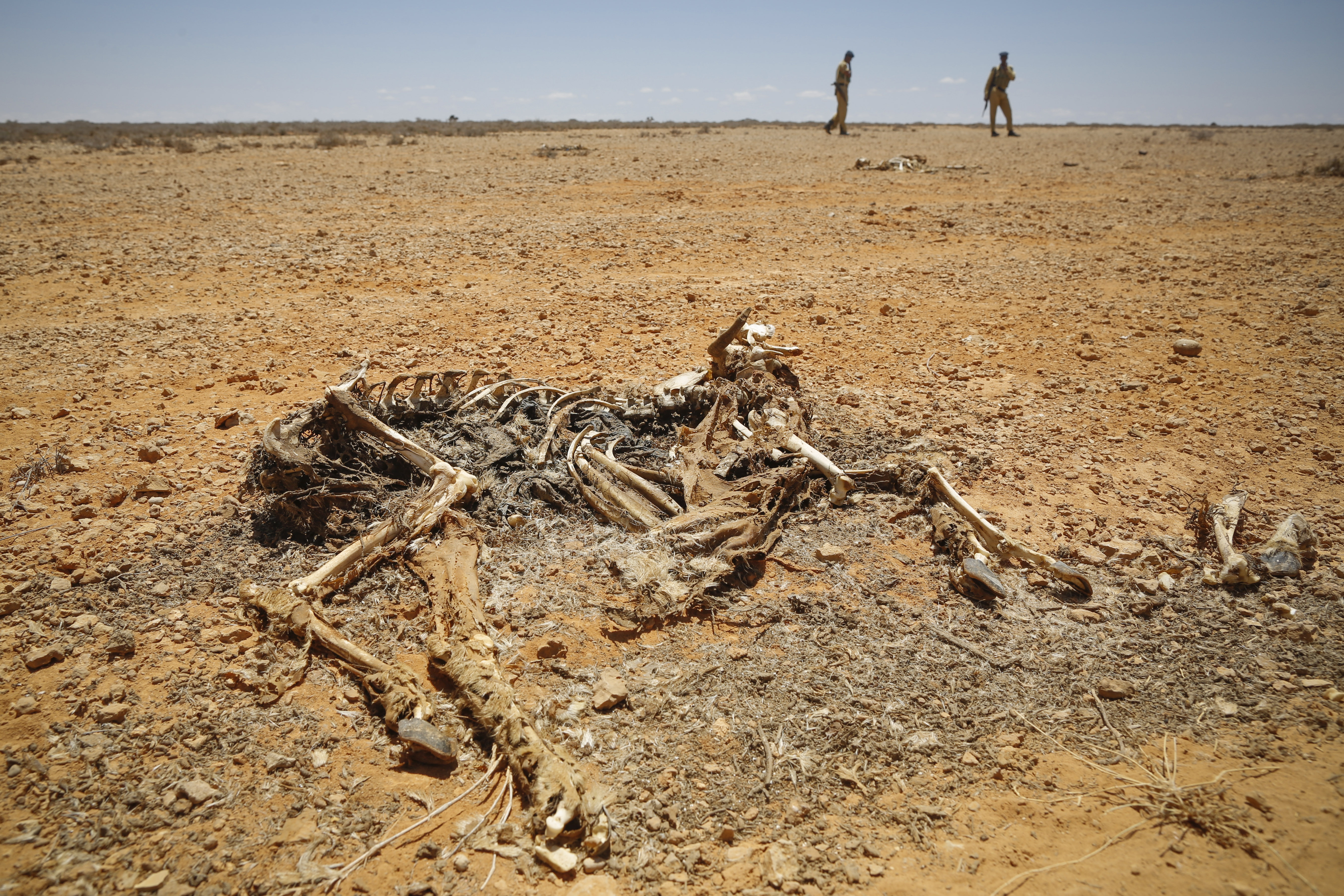 Climate change, Somalia