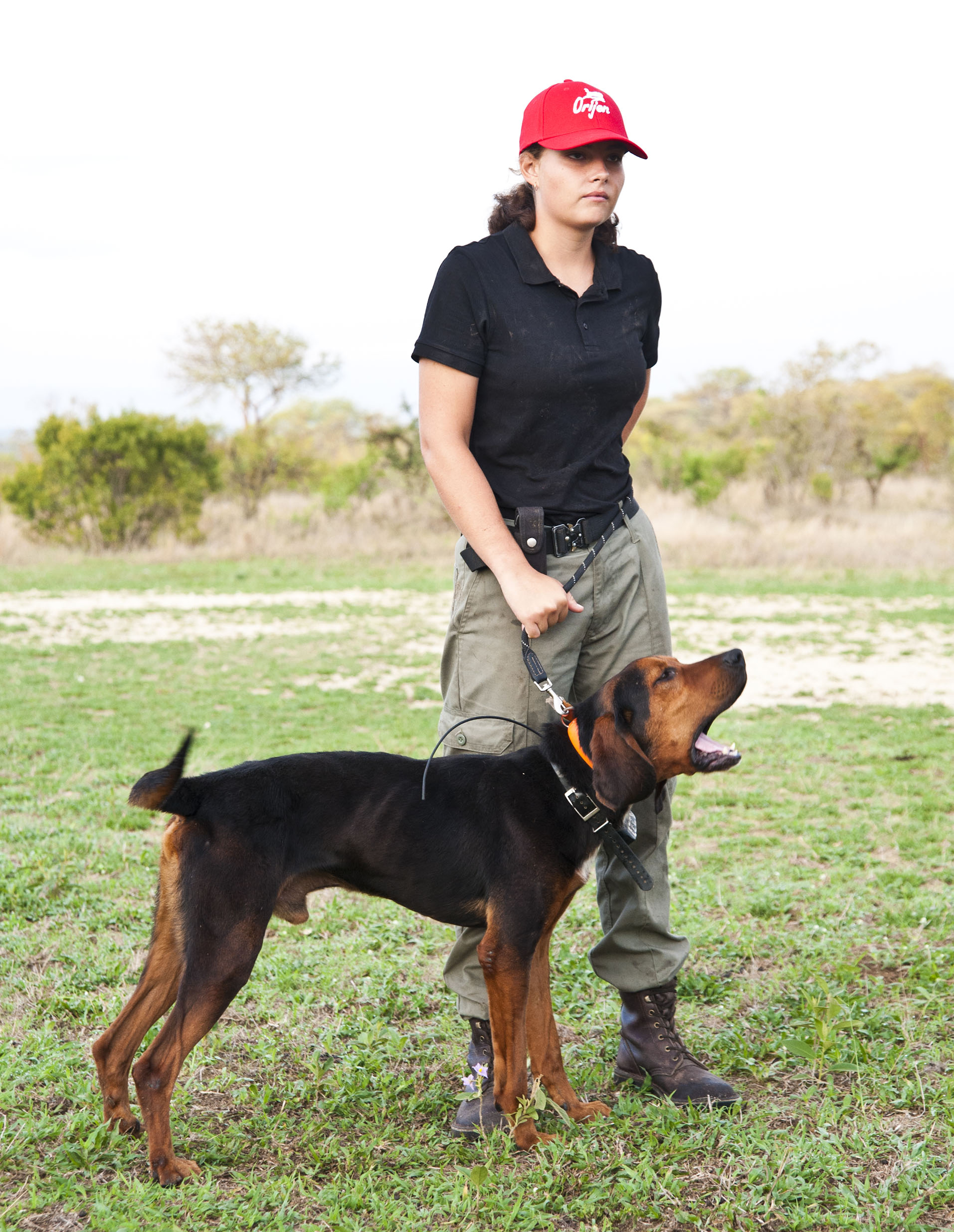 Entrenador de perros Kruger